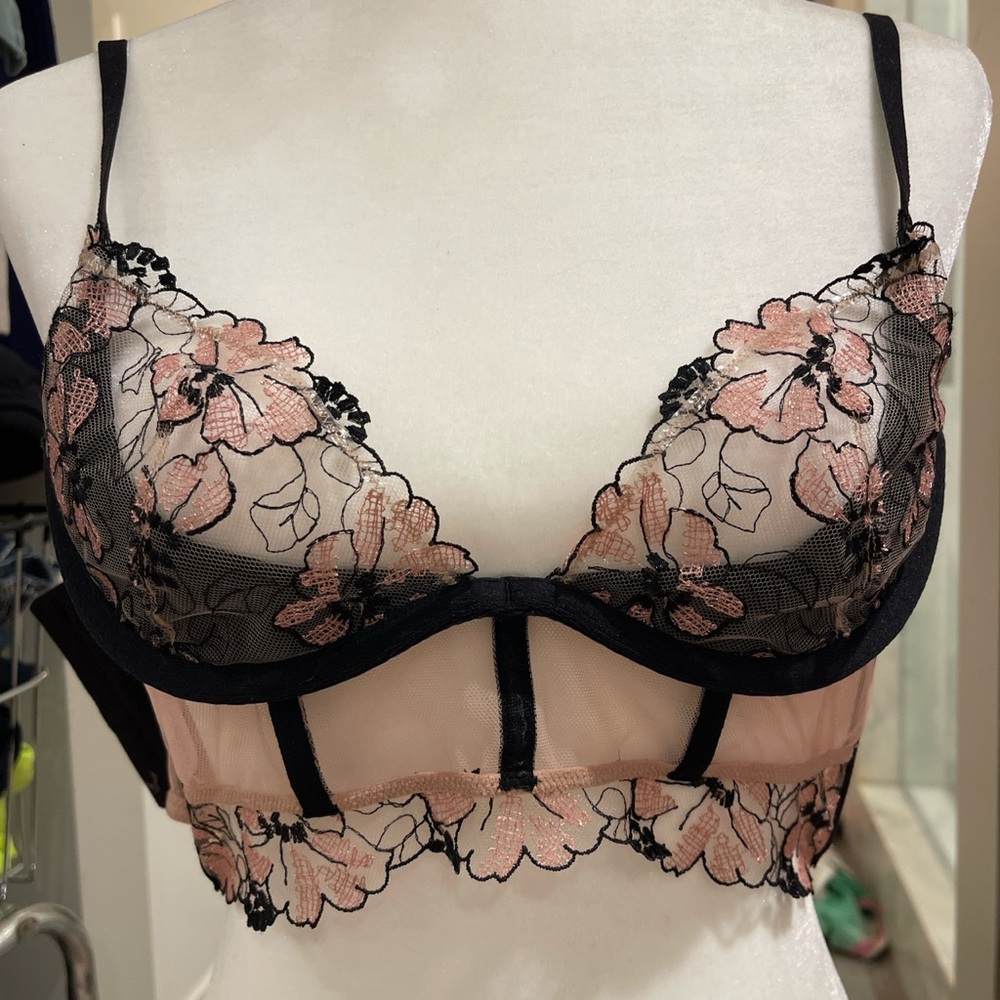 Beautiful bra mini corset